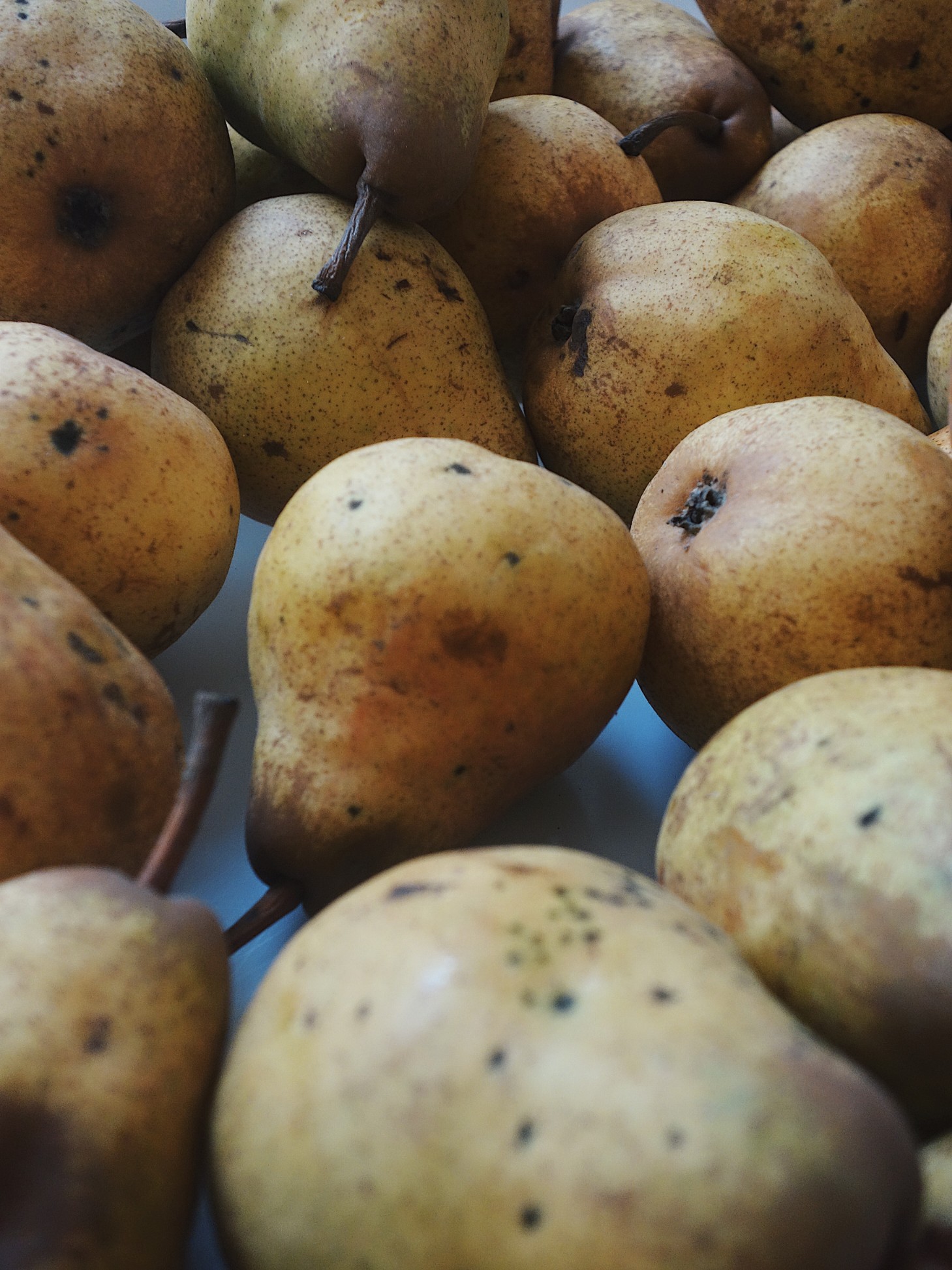 Poire glacée à la sauge, sablé aux amandes et formage blanc du restaurant Les Résistants à Paris