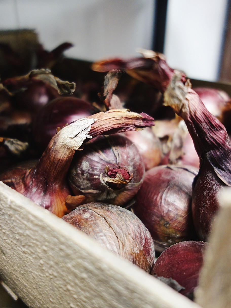 Les légumes d'automne du moment au restaurant Les Résistants