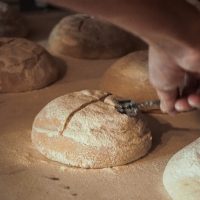 Maxime Bussy et sa boulangerie Le Bricheton, Les Résistants