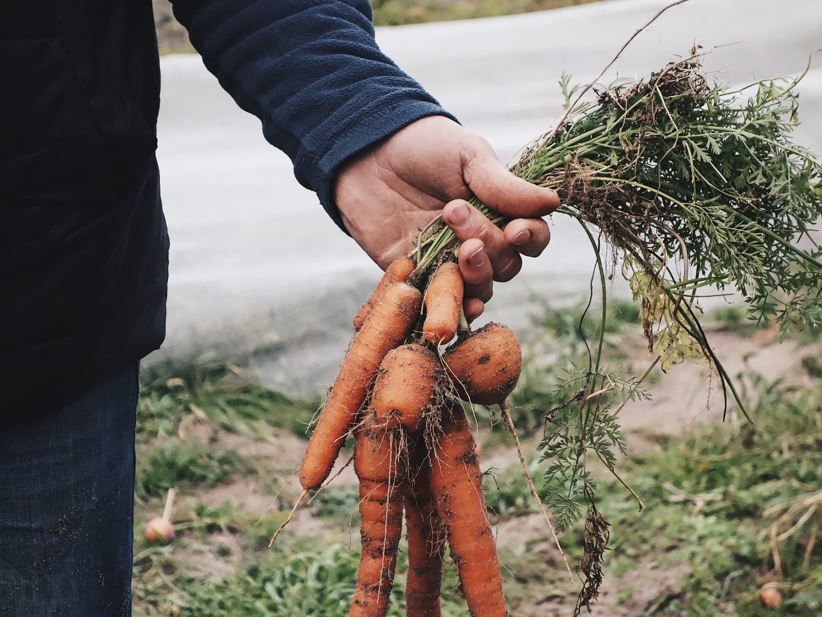 Tournée producteurs en Normandie, chez Les Résistants