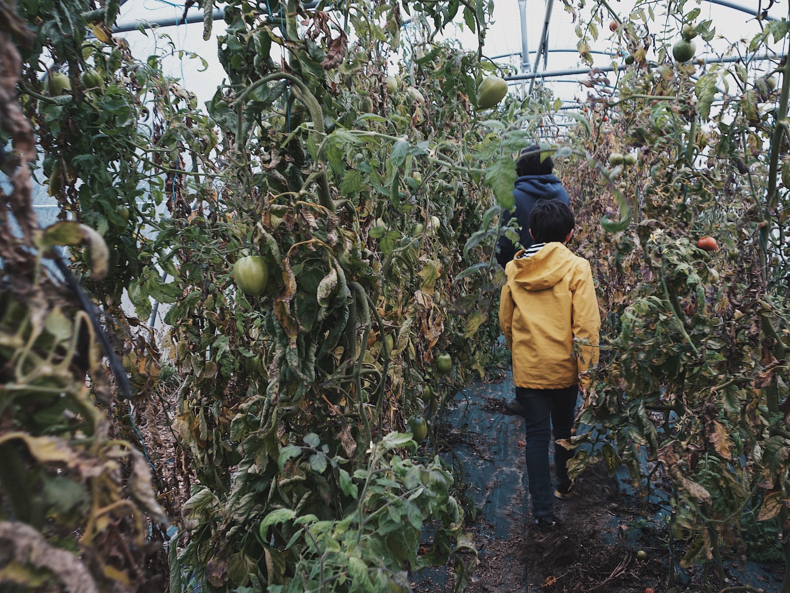 Tournée producteurs en Normandie, chez Les Résistants