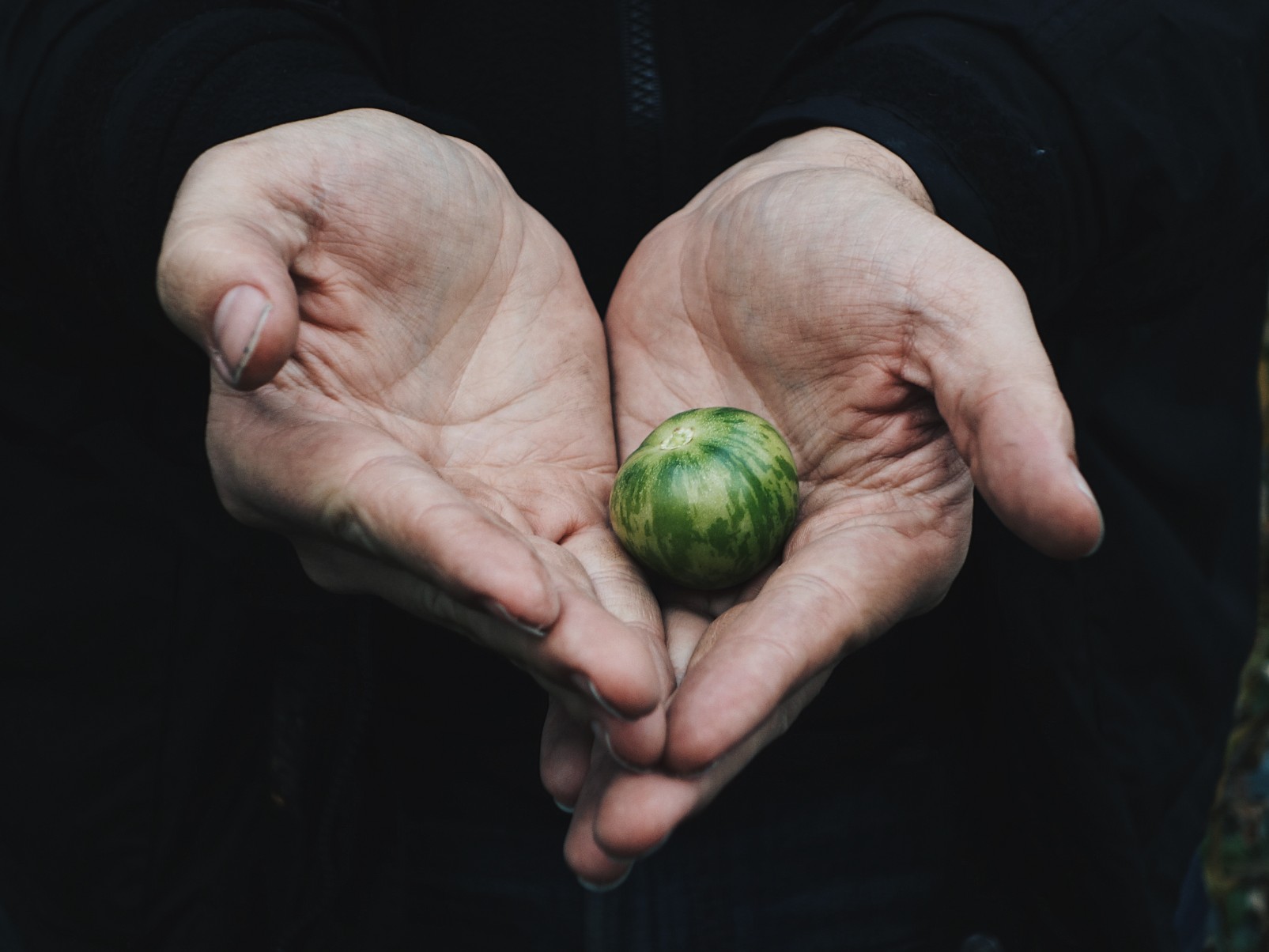 Tournée producteurs en Normandie, chez Les Résistants