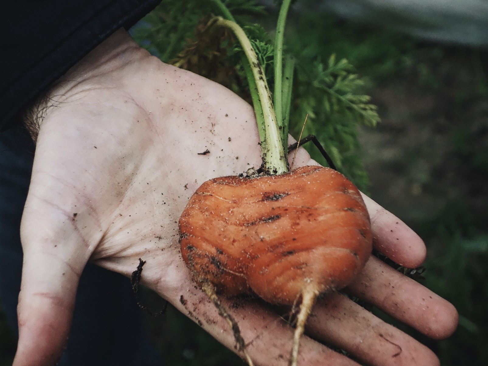 Tournée producteurs en Normandie, chez Les Résistants