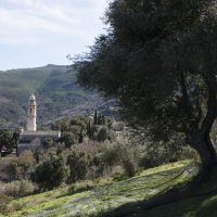 bardin.3