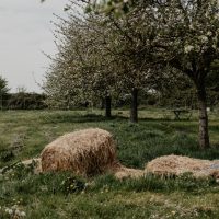 cyrille-morineaux-les-resistants-35