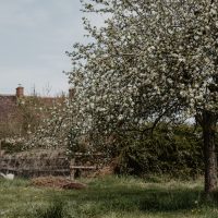 cyrille-morineaux-les-resistants-36