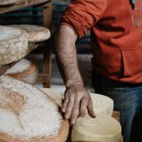 ferme-des-sept-chemins-les-resistants-30