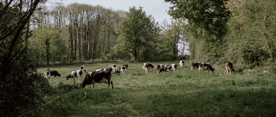 ferme-des-sept-chemins-les-resistants-8