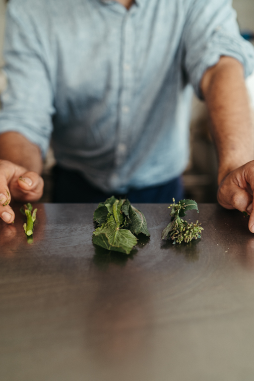 Recette par Les Résistants