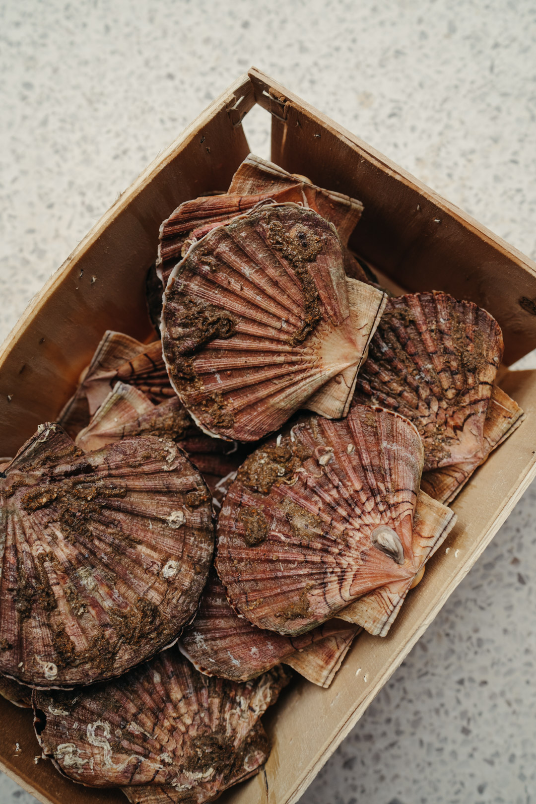 Coquilles Saint Jacques, Paniers de Résistance