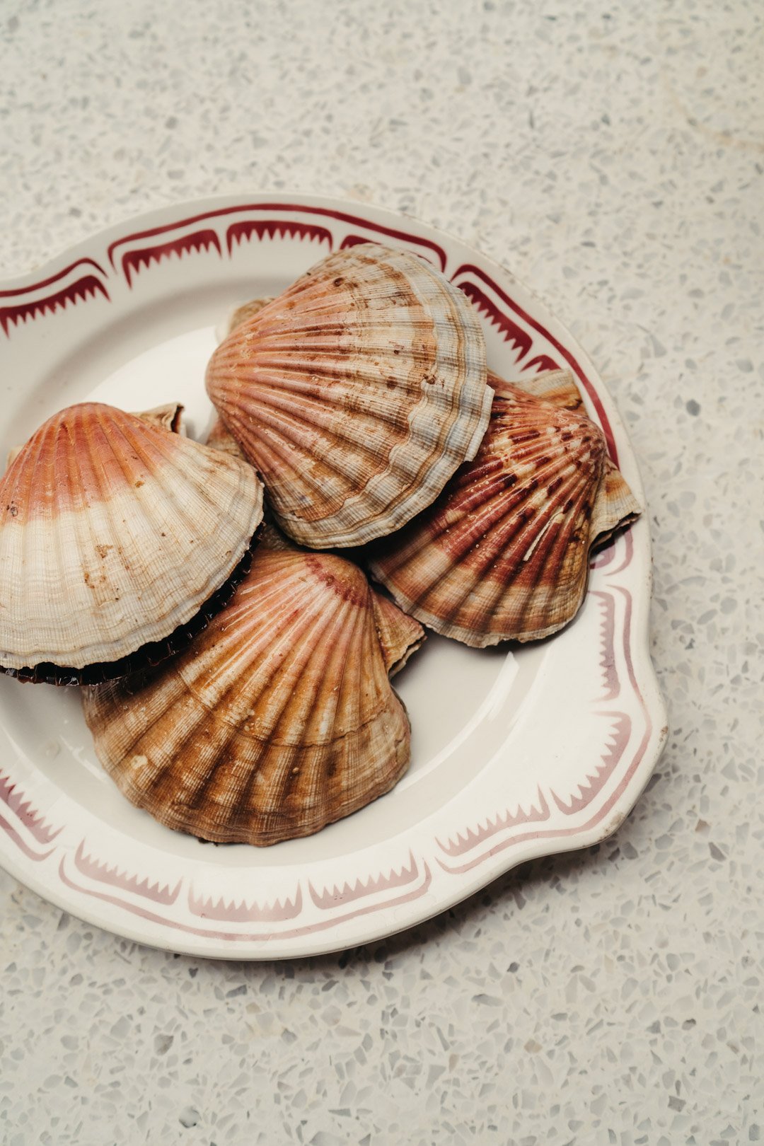 Coquilles Saint Jacques, Paniers de Résistance