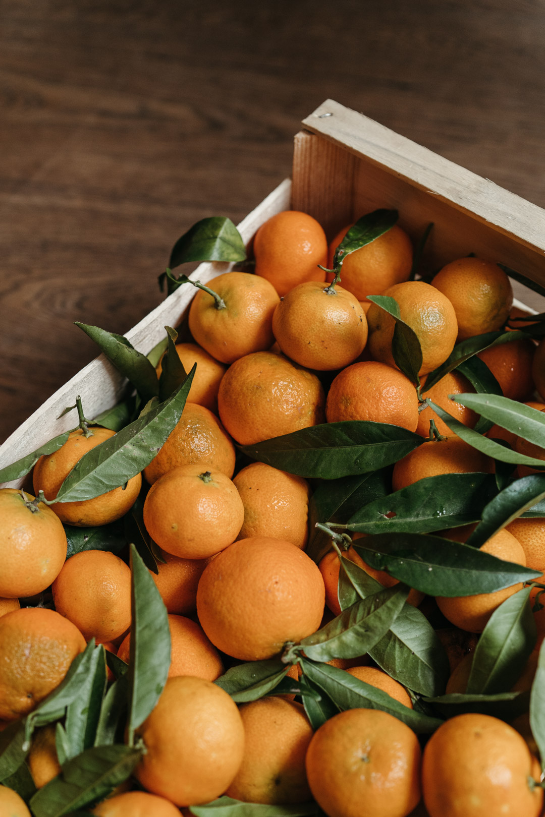 Cuisiner les agrumes, par Les Résistants