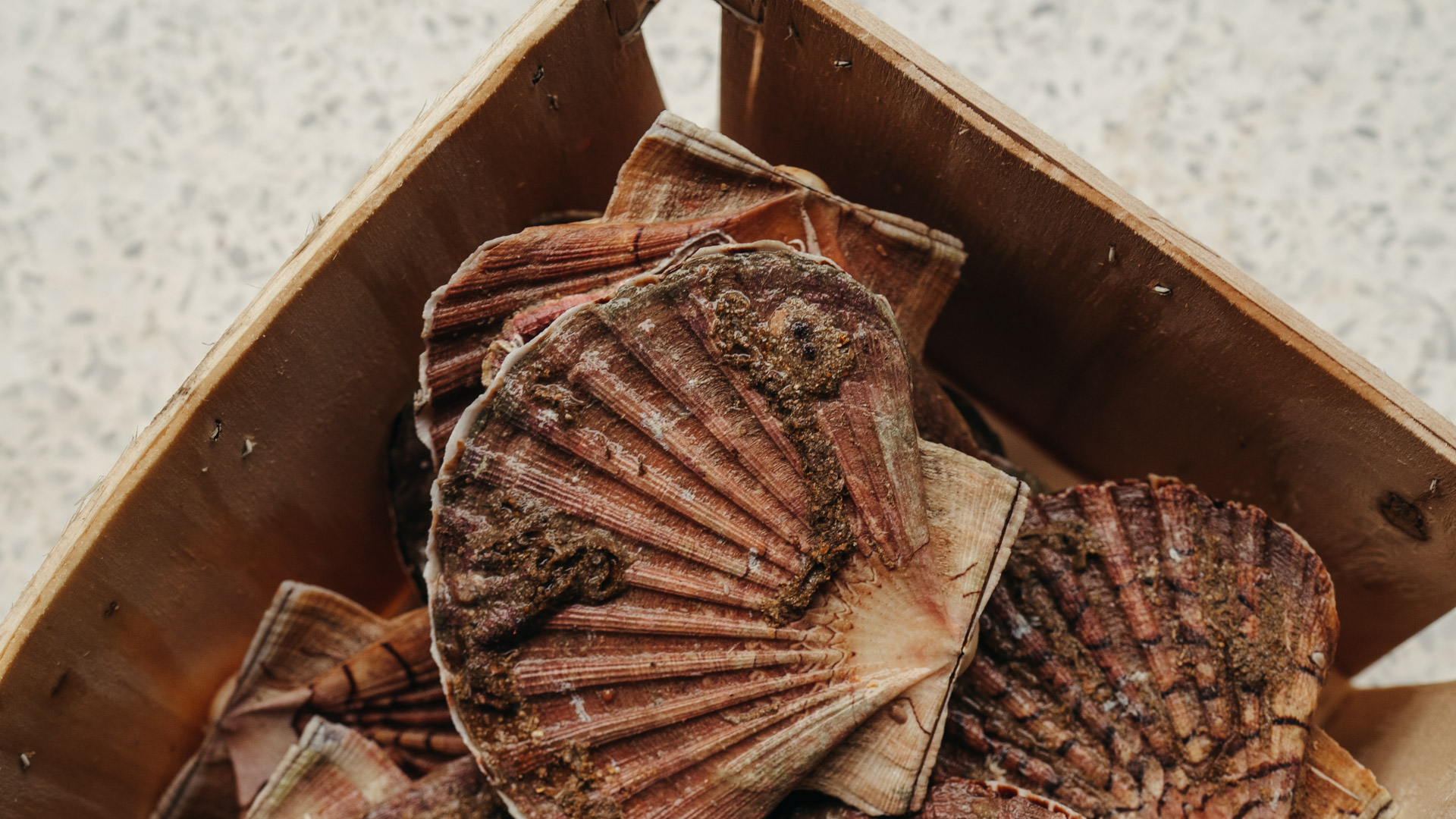 Coquilles Saint Jacques, Paniers de Résistance